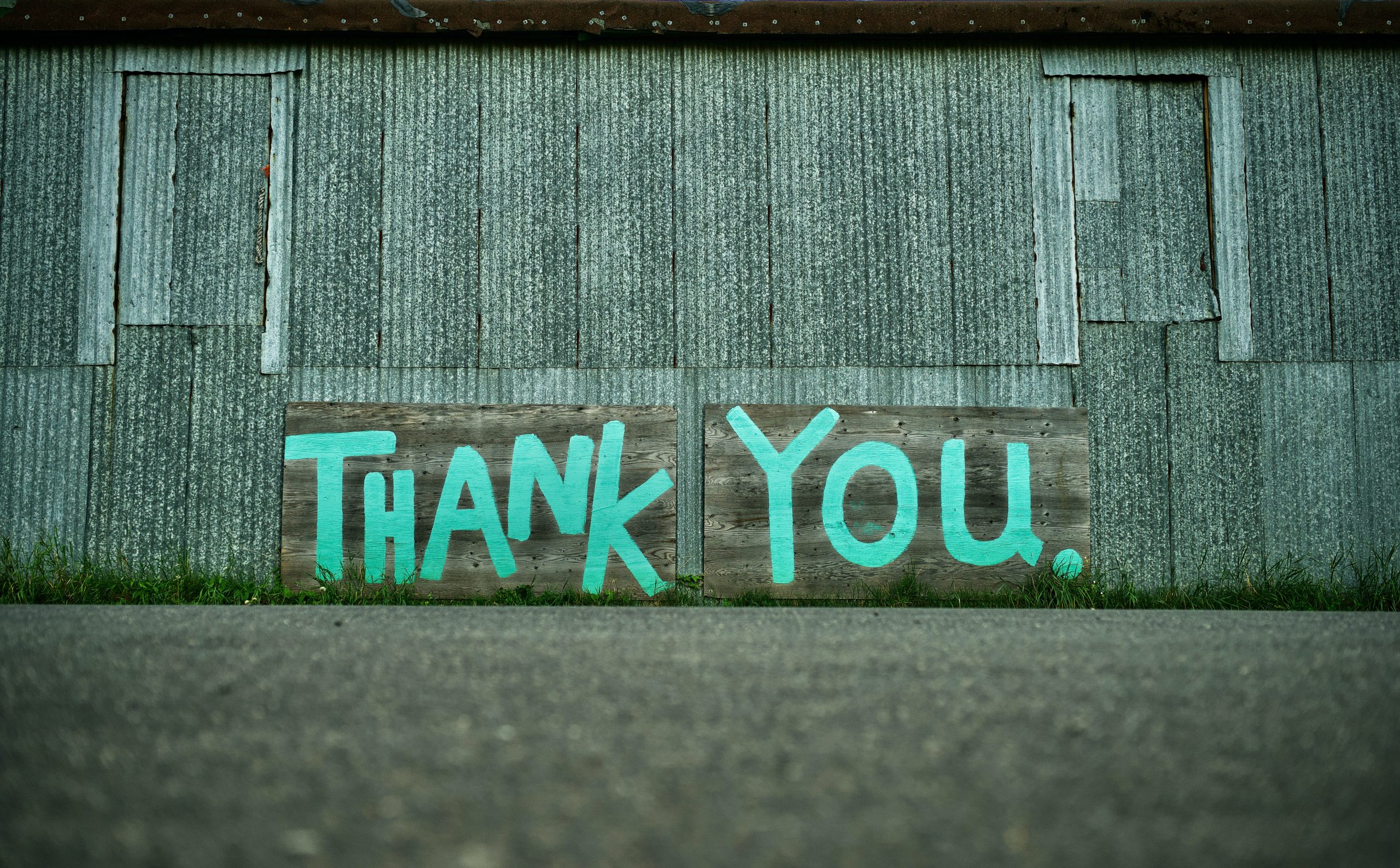 Painted graffiti "Thank You."